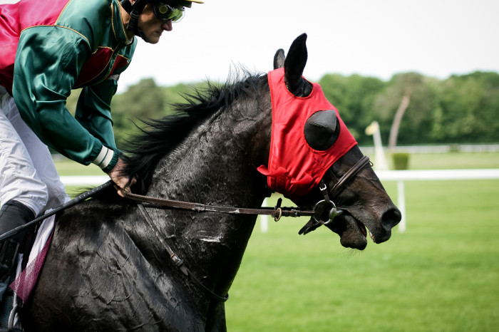 Second hand equipment sales at the horse riding club house !